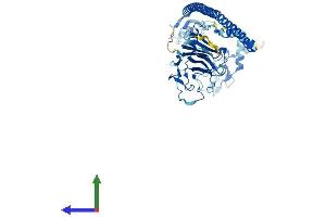 Protein Structure (PS) image for Tripartite Motif Containing 11 (TRIM11) (AA 1-468) protein (His tag) (ABIN7555826)