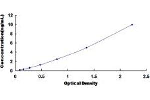 Typical standard curve (CCR1 ELISA Kit)