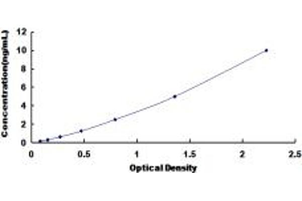 CCR1 ELISA Kit