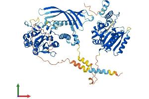 AlphaFold protein structure predicition of Mouse Recombinant Chsy1 Protein, UniprotID Q6ZQ11