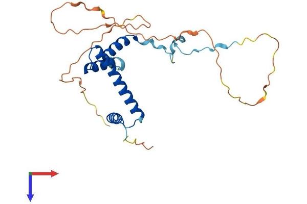 TAF9B Protein (AA 1-249) (His tag)