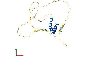 Protein Structure (PS) image for Mix Paired-Like Homeobox (MIXL1) (AA 1-231) protein (His tag) (ABIN7556278)