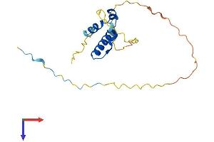 SSX5 Protein (AA 1-188) (His tag)
