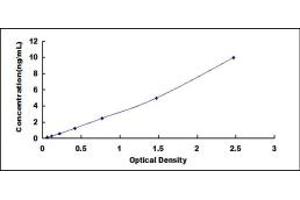 Typical standard curve (CCL5 ELISA Kit)