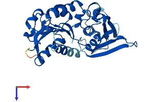 ASPDH Protein (AA 1-283) (His tag)