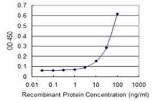 Detection limit for recombinant GST tagged PGLS is 1 ng/ml as a capture antibody. (PGLS Antikörper  (AA 1-258))