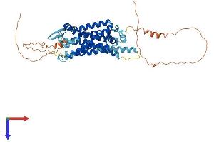 TACR3 Protein (AA 1-452) (His tag)