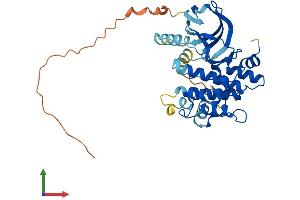 Protein Structure (PS) image for Mitogen-Activated Protein Kinase Kinase 3 (MAP2K3) (AA 1-347) protein (His tag) (ABIN7562249)