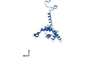 Protein Structure (PS) image for Ribosomal Protein L13 (RPL13) (AA 1-211) protein (His tag) (ABIN7551390)