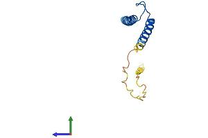 Protein Structure (PS) image for T-Cell Acute Lymphocytic Leukemia 2 (TAL2) (AA 1-108) protein (His tag) (ABIN7544160)