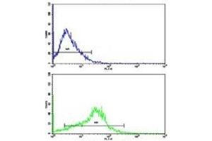 Flow cytometric analysis of HepG2 cells using APP antibody (bottom histogram) compared to a negative control (top histogram). (APP Antikörper  (AA 29-61))