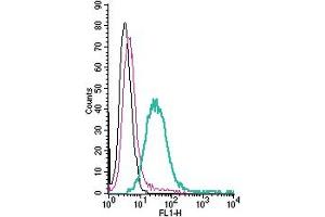 Cell surface detection of ASCT2 by direct flow cytometry in live intact human K562 chronic myeloid leukemia cells: + Rabbit IgG Isotype Control-FITC (ABIN7582044).