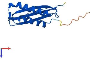 DYNLT3 Protein (AA 1-116) (His tag)