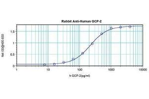 Image no. 2 for anti-Chemokine (C-X-C Motif) Ligand 6 (CXCL6) antibody (ABIN464969) (CXCL6 Antikörper)