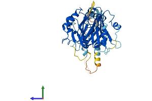 Protein Structure (PS) image for F-Box Protein 22 (FBXO22) (AA 1-403) protein (His tag) (ABIN7547670)