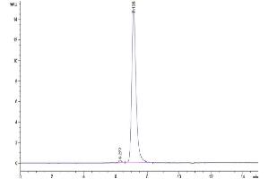 The purity of Mouse Tenascin is greater than 95 % as determined by SEC-HPLC. (TNC Protein (AA 23-621) (His tag))