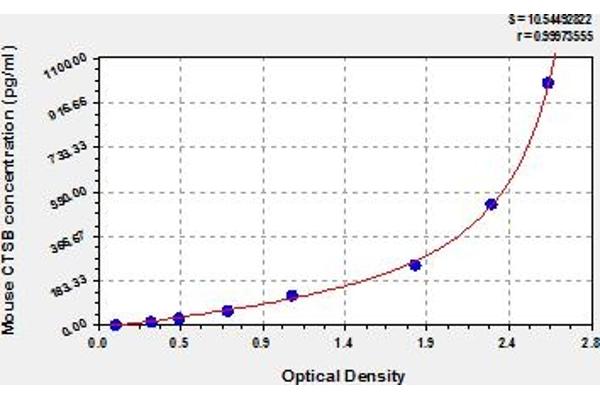 Cathepsin B ELISA Kit