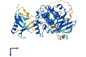 AKT2 Protein (AA 1-481) (His tag)