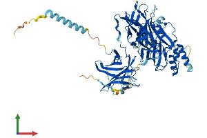 Protein Structure (PS) image for Dopamine beta-Hydroxylase (Dopamine beta-Monooxygenase) (DBH) (AA 1-617) protein (His tag) (ABIN7547155)