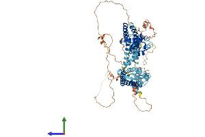 Protein Structure (PS) image for Potassium Voltage-Gated Channel, Shaw-Related Subfamily, Member 4 (KCNC4) (AA 1-635) protein (His tag) (ABIN7554265)