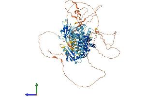 Protein Structure (PS) image for Ras and Rab Interactor 2 (RIN2) (AA 1-895) protein (His tag) (ABIN7555217)