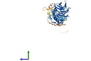 Protein Structure (PS) image for DDB1 and CUL4 Associated Factor 11 (DCAF11) (AA 1-546) protein (His tag) (ABIN7546935)