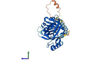 Protein Structure (PS) image for Plasminogen Activator Inhibitor 2 (SERPINB2) (AA 1-415) protein (His tag) (ABIN7562847)
