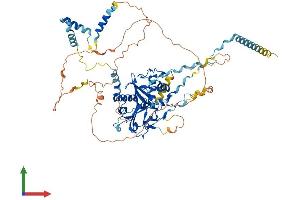 Protein Structure (PS) image for Radial Spoke Head 6 Homolog A (RSPH6A) (AA 1-708) protein (His tag) (ABIN7559268)