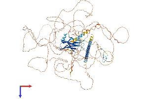 PPP1R3A Protein (AA 1-1122) (His tag)