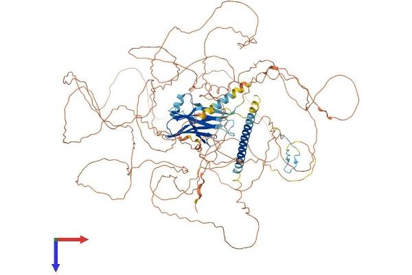 PPP1R3A Protein (AA 1-1122) (His tag)
