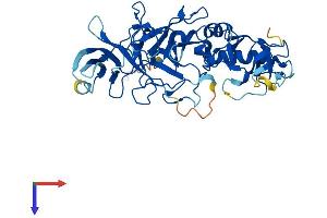 Protein Structure (PS) image for Pellino E3 Ubiquitin Protein Ligase 1 (PELI1) (AA 1-418) protein (His tag) (ABIN7559167)