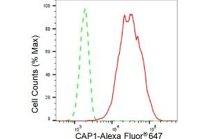 Flow cytometric analysis of CAP1 expression in HT- cells using CAP1 antibody (ABIN7797862), 1:2,000).