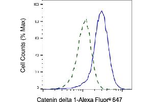Validation of Catenin delta 1 knockdown using flow cytometry. (CTNND1 Antikörper)