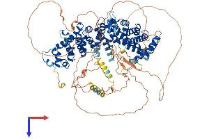 PPP6R3 Protein (AA 1-873) (His tag)