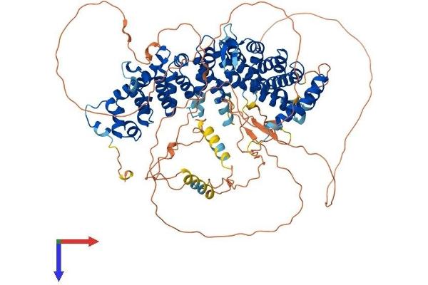 PPP6R3 Protein (AA 1-873) (His tag)