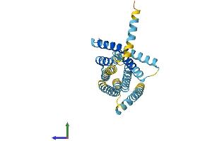 Protein Structure (PS) image for Taste Receptor, Type 2, Member 5 (TAS2R5) (AA 1-299) protein (His tag) (ABIN7544106)