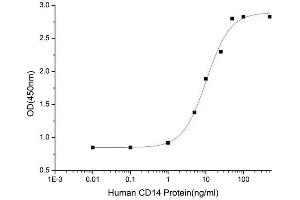 CD14 (CD14) (AA 20-352) (Active) protein (His tag)