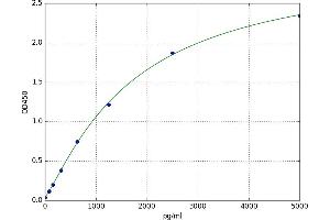 delta-Like 4 (DLL4) ELISA Kit