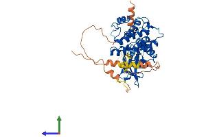 AlphaFold protein structure predicition of Human Recombinant STK40 Protein, UniprotID Q8N2I9 (STK40 Protein (AA 1-435) (His tag))