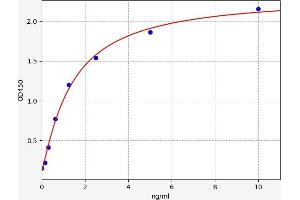 Typical standard curve (ARHGDIA ELISA Kit)