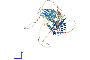 AlphaFold protein structure predicition of Mouse Recombinant Map3k20 Protein, UniprotID Q9ESL4