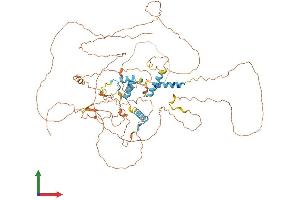 Protein Structure (PS) image for F-Box Protein 34 (FBXO34) (AA 1-711) protein (His tag) (ABIN7547660)