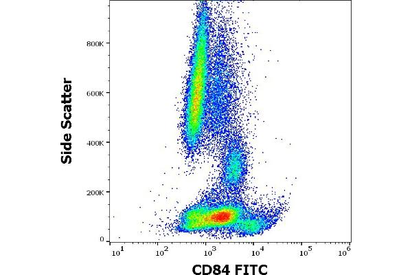CD84 Antikörper  (FITC)