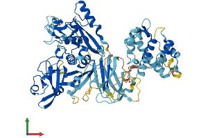Protein Structure (PS) image for Calpain 13 (CAPN13) (AA 1-665) protein (His tag) (ABIN7557297)