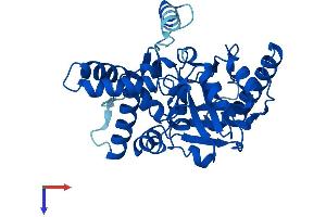 MOGAT2 Protein (AA 1-334) (His tag)