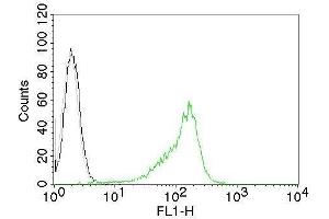 Flow Cytometric Analysis of human Nucleolin on 293T cells. (Nucleolin Antikörper  (CF®488A))
