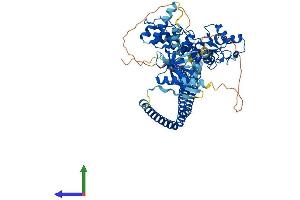 Protein Structure (PS) image for ArfGAP with Coiled-Coil, Ankyrin Repeat and PH Domains 1 (ACAP1) (AA 1-740) protein (His tag) (ABIN7564634)