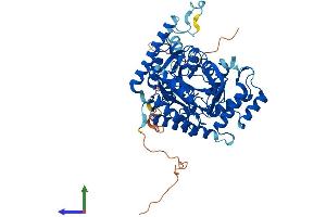 Protein Structure (PS) image for Serine Palmitoyltransferase, Long Chain Base Subunit 3 (SPTLC3) (AA 1-563) protein (His tag) (ABIN7558527)