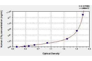 C1QB ELISA Kit