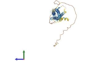 Protein Structure (PS) image for Calcium Channel, Voltage-Dependent, gamma Subunit 3 (CACNG3) (AA 1-315) protein (His tag) (ABIN7553102)